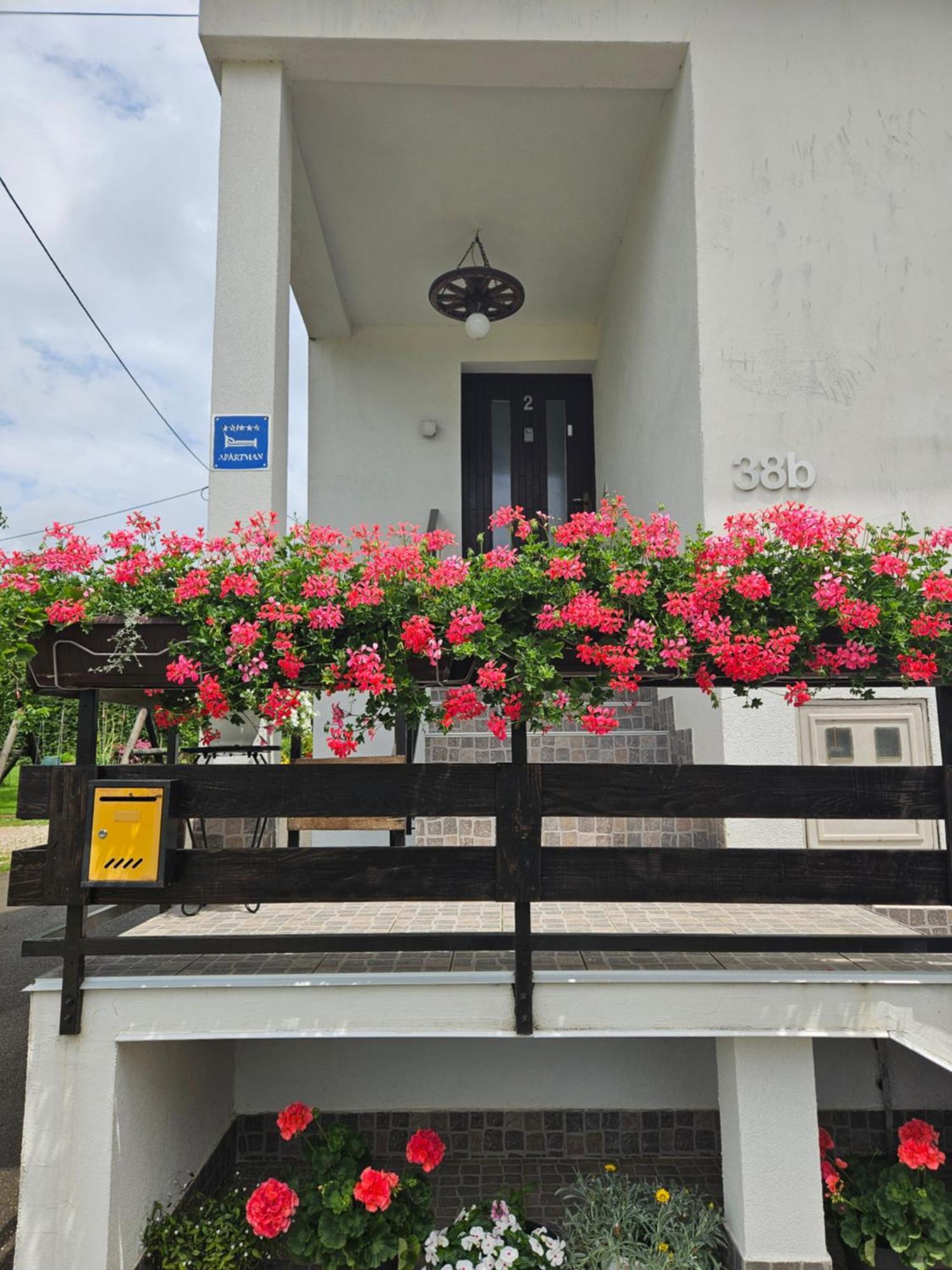 Apartments Luka غاكوفيتسا المظهر الخارجي الصورة